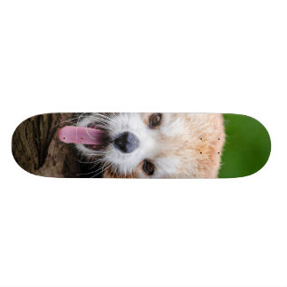 Skateboard Panda roja