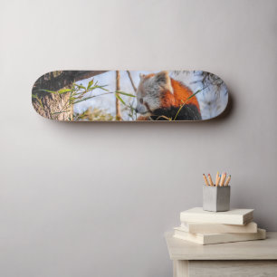 Skateboard Panda rojo