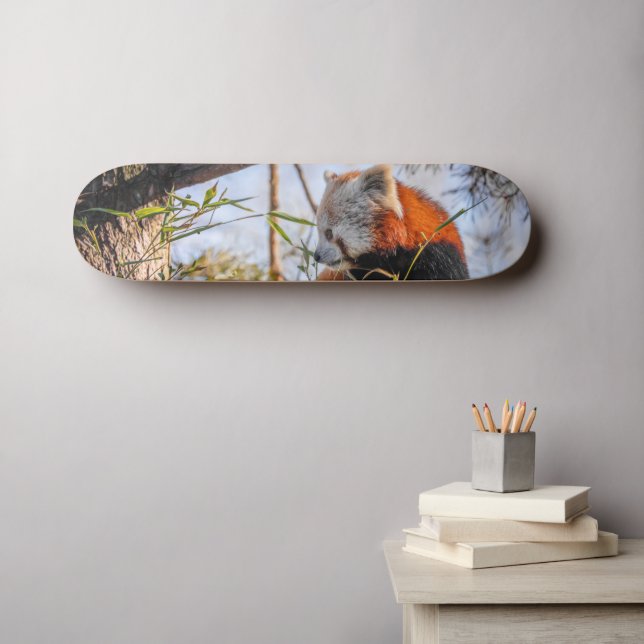 Skateboard Panda rojo (Arte de pared (horz))