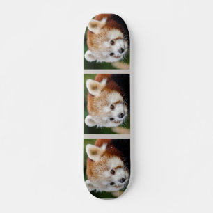 Skateboard Panda rojo animal