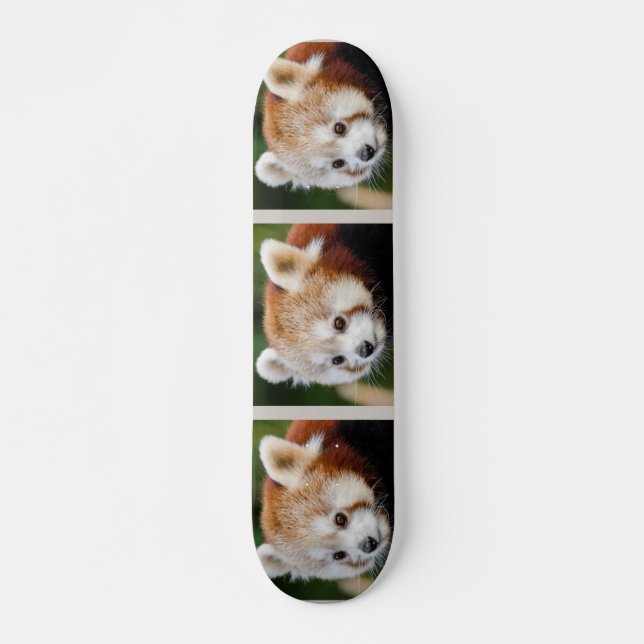 Skateboard Panda rojo animal (Anverso )