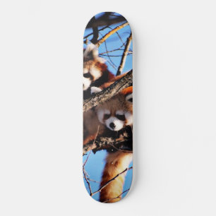 Skateboard pandas rojos