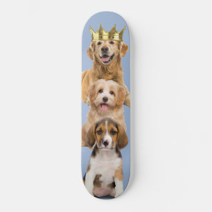 Skateboard Papel de perro
