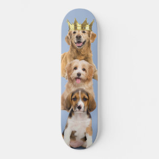 Skateboard Papel de perro