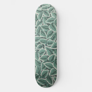 Skateboard Papel pintado de la casa de Jane Austen