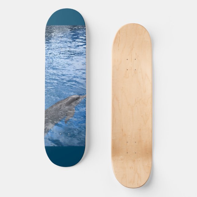 Skateboard para delfines (Anverso)