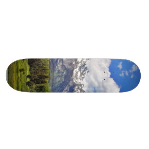 Skateboard Parque nacional magnífico de Teton