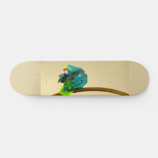 Skateboard Parrot Deck