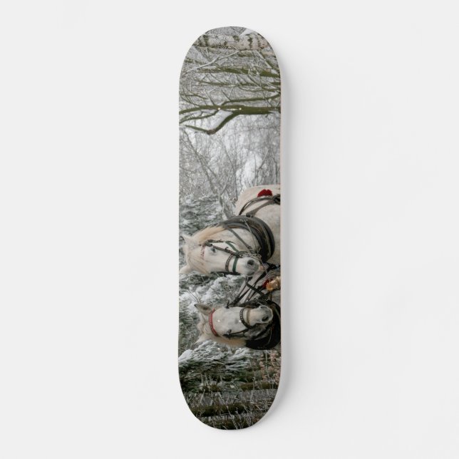 Skateboard Paseo en Sleigh en el bosque nevado (Anverso)
