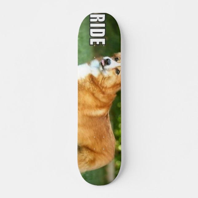 Skateboard Paseo para el Corgi (Anverso )