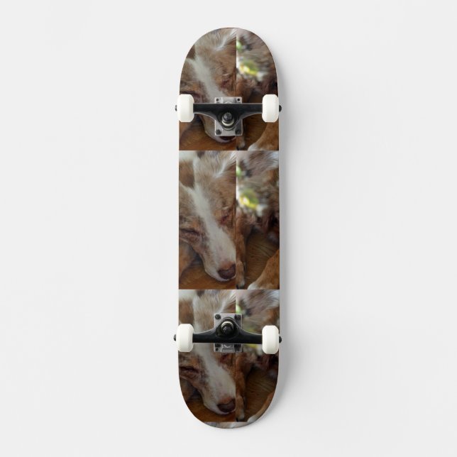 Skateboard pastor australiano de merle rojo durmiendo (Anverso)