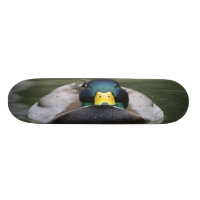 patín del pato 2