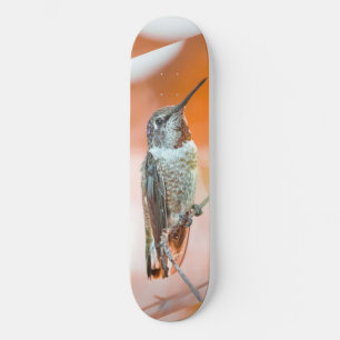 Skateboard Patinaje de aves