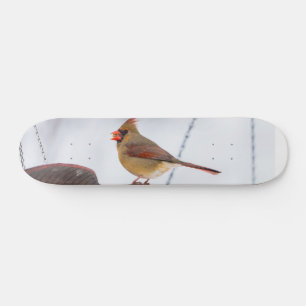 Skateboard Patinaje de tiempo de almuerzo para cardenales muj