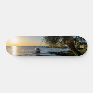 Skateboard Patinaje deportivo para la siembra de palmeras inc