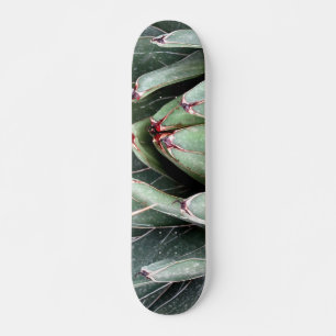 Skateboard Patinaje fotográfico Agave Aloe Vera