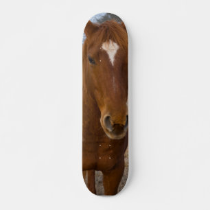 Skateboard Patinaje para caballos