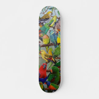 Skateboard Patines de loro