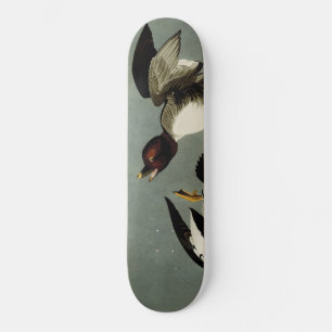 Skateboard Pato marino común de goldeneye