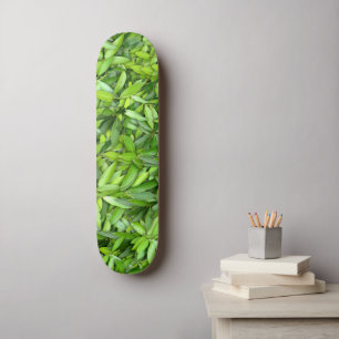 Skateboard Patrón de hojas verdes frondosas - Naturaleza Botá