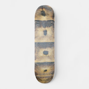 Skateboard Patrón de shell de tortuga