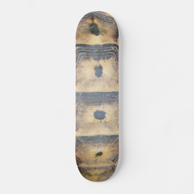 Skateboard Patrón de shell de tortuga (Anverso)