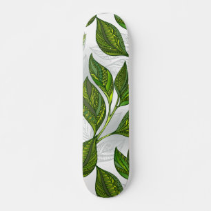 Skateboard Patrón sin inconvenientes con hojas de té verdes