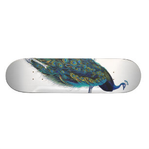 Skateboard Pavo azul con hermosas plumas de cola