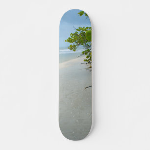 Skateboard Paz y tranquilidad en el Skate Sanibel