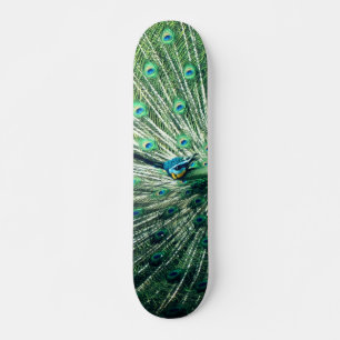 Skateboard Peacock Strut