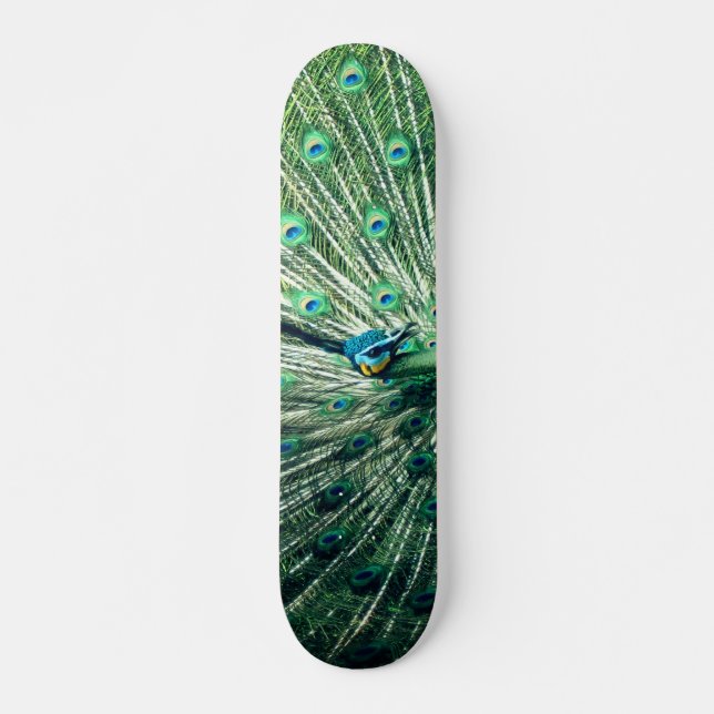 Skateboard Peacock Strut (Anverso )