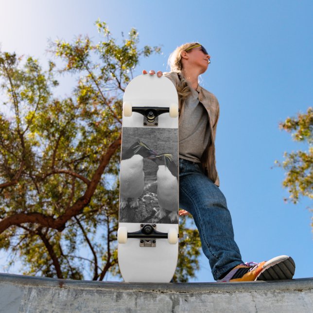 Skateboard Penguin Colour Splash (Exterior 1)