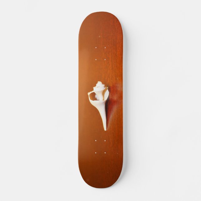 Skateboard Pequeña concha (Anverso)