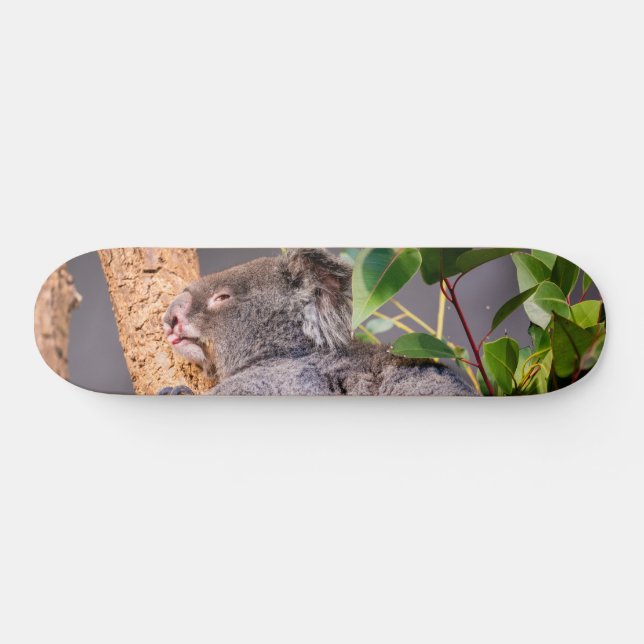 Skateboard Pequeña koala dulce (Horz)