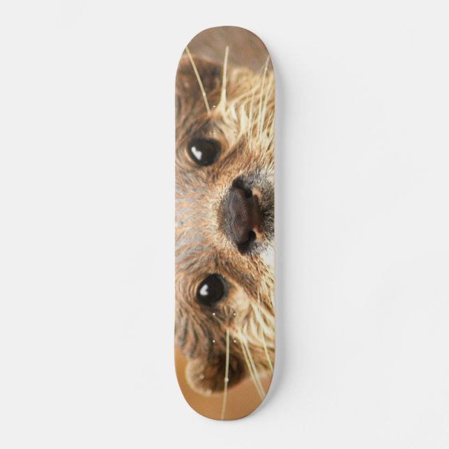 Skateboard Pequeña nutria agarrada asiática (Anverso)