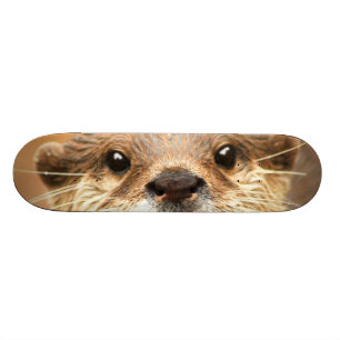 Skateboard Pequeña nutria agarrada asiática
