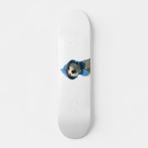 Skateboard perdición