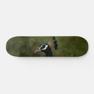 Skateboard Perfil del pavo real