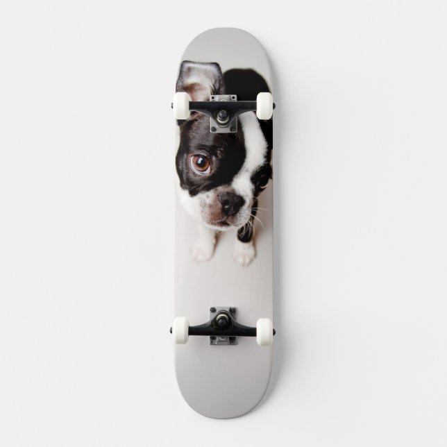 Skateboard Perrito de Edison Boston Terrier (Anverso)