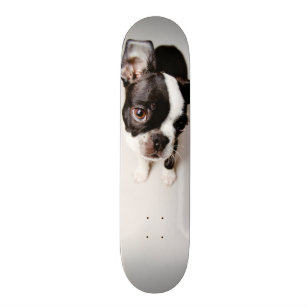 Skateboard Perrito de Edison Boston Terrier