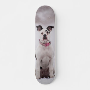 Skateboard Perro Boxer sentado en la nieve