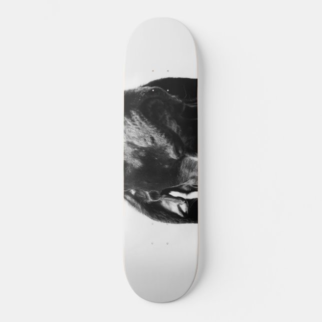Skateboard perro bw regal (Anverso)