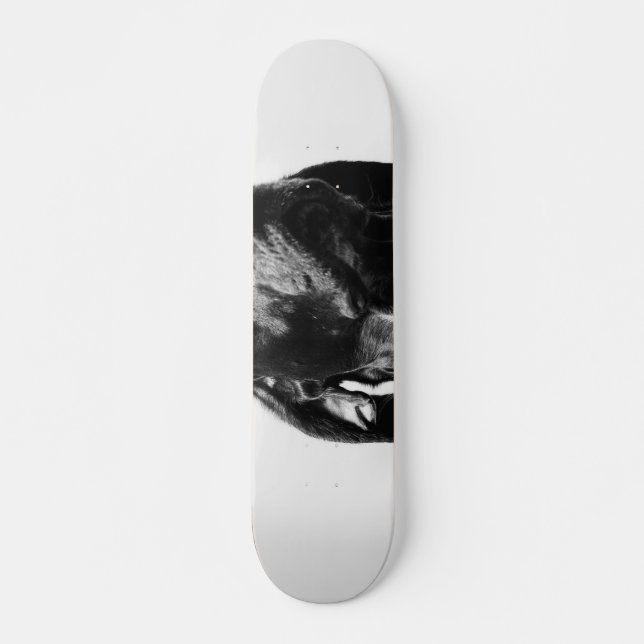Skateboard perro bw regal (Anverso )