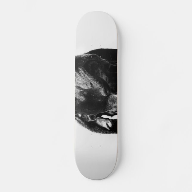 Skateboard perro bw regal (Anverso)