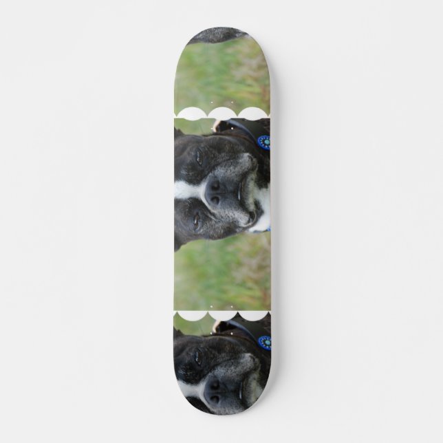 Skateboard Perro clásico de Boston Terrier (Anverso )
