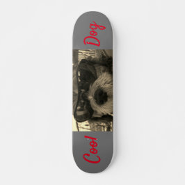 Skateboard Perro Cool Con Gafas De Sol