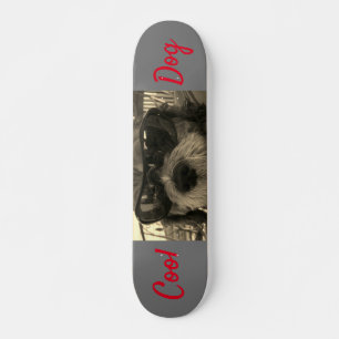 Skateboard Perro Cool Con Gafas De Sol