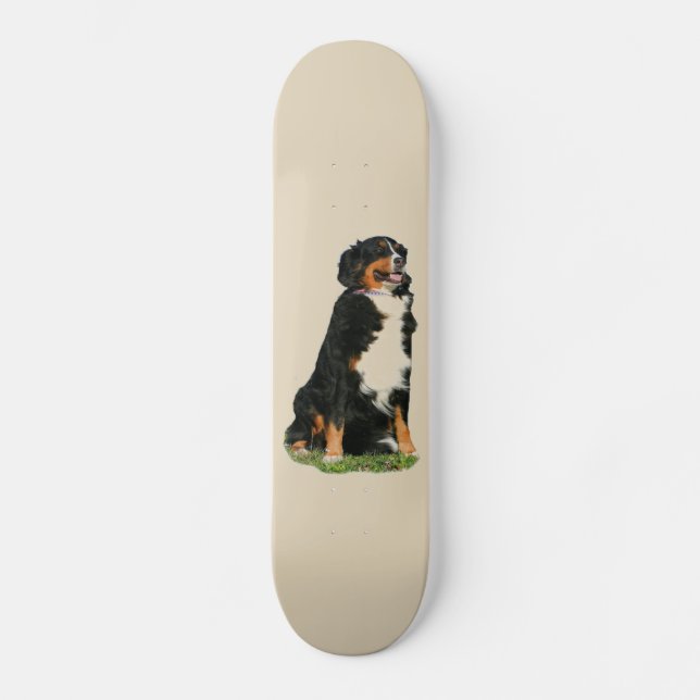 Skateboard Perro de montaña de Bermese (Anverso)