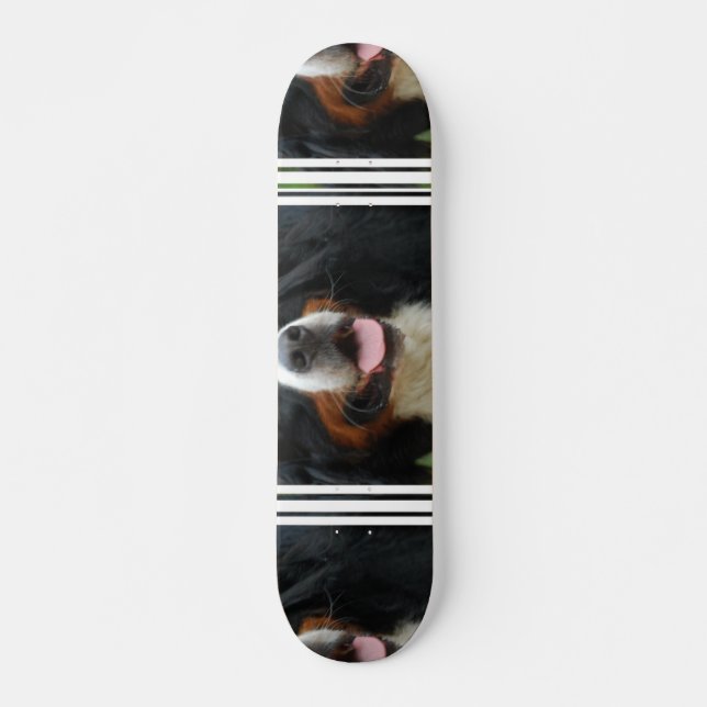 Skateboard Perro de montaña de Bernese del bebé (Anverso )