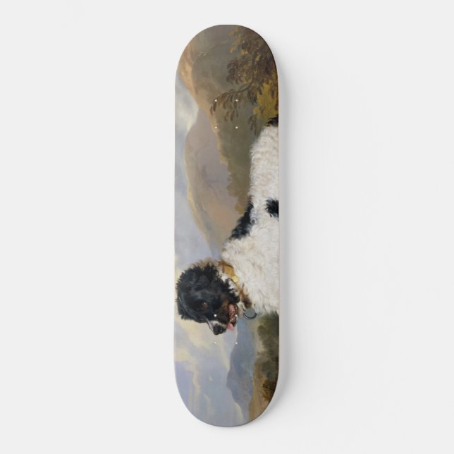 Skateboard Perro de Terranova (animal blanco y negro) (Anverso)